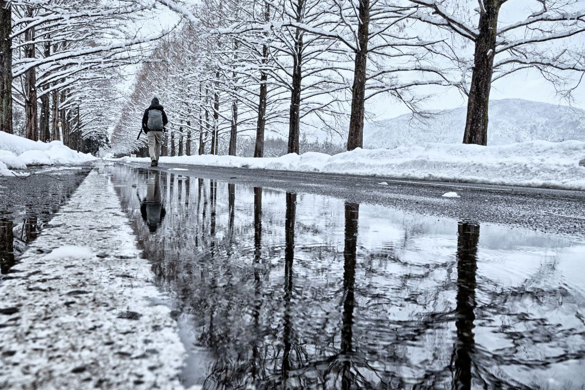 雪 NIKKOR Z DX 16-50mm f/2.8 VRで撮影された写真 | 写真検索 | GANREF