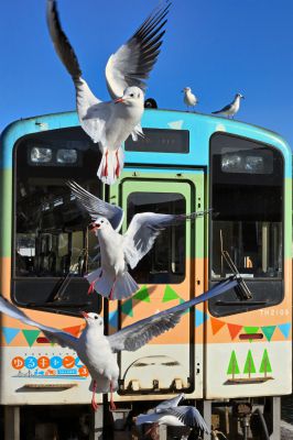 ゆりかもめ電車