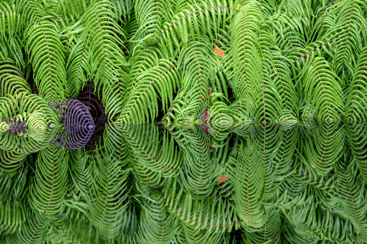 D810で撮影された写真 | 写真検索 | GANREF