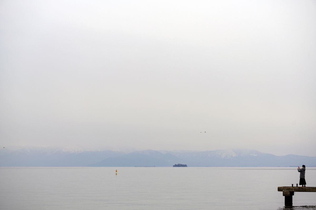 ニコンZ 7］レビュー8「フォーカスエリアの広さと高画素の両立」 | GANREF