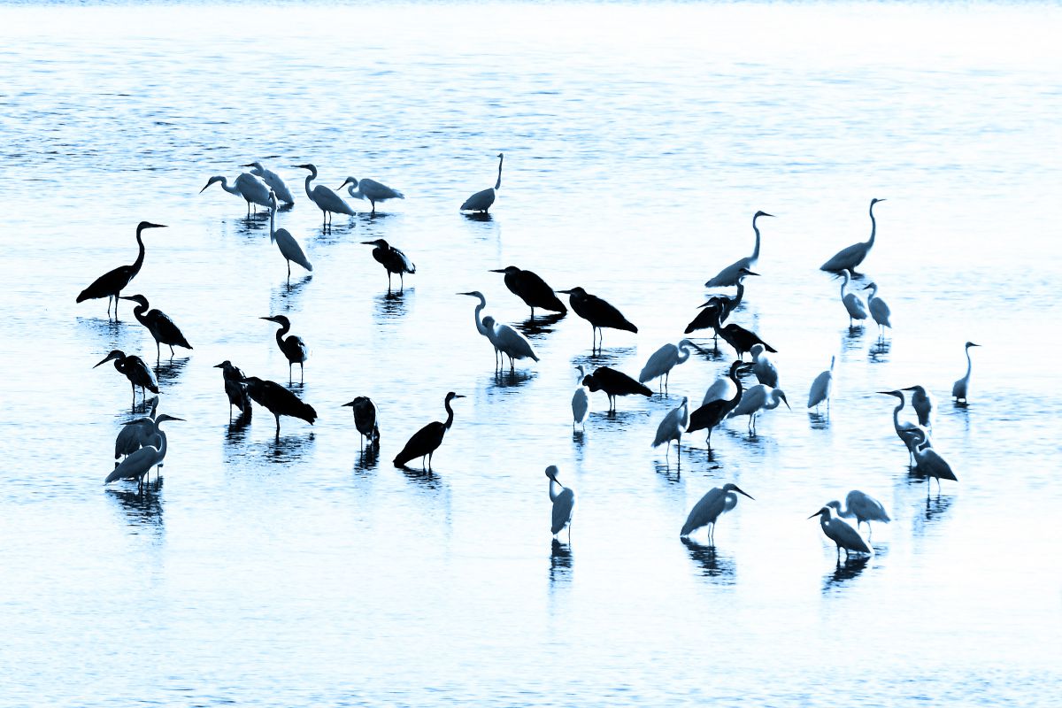 28-300mm F/3.5-6.3 Di VC PZDで撮影された写真 | 写真検索 | GANREF