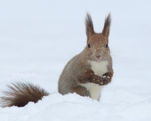 5f73212a194fadb3830983d07fb3f7