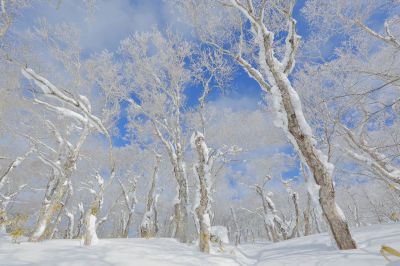 冬景 只見線の冬景色 ---- 新年の撮影は只見の冬景色。 人気の無い
