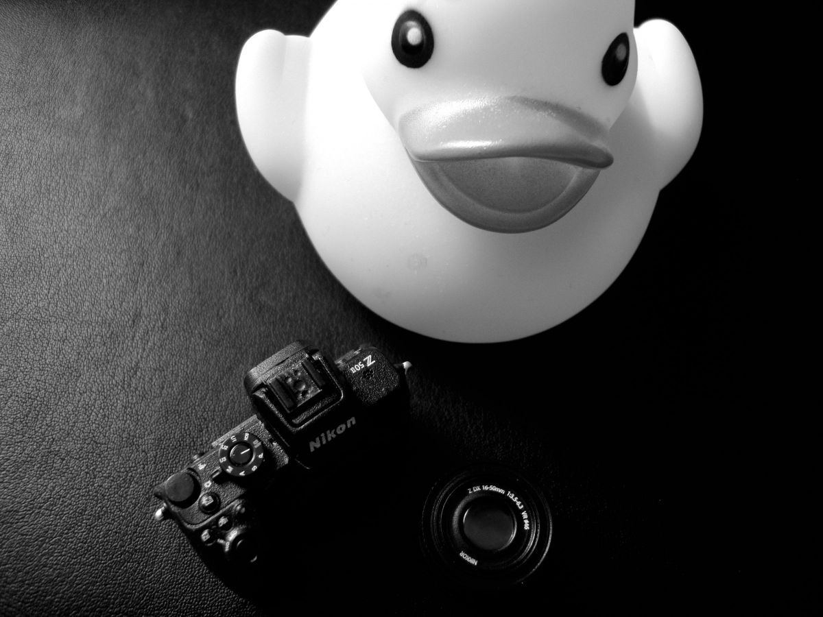 Cyber-shot DSC-W220で撮影された写真 | 写真検索 | GANREF
