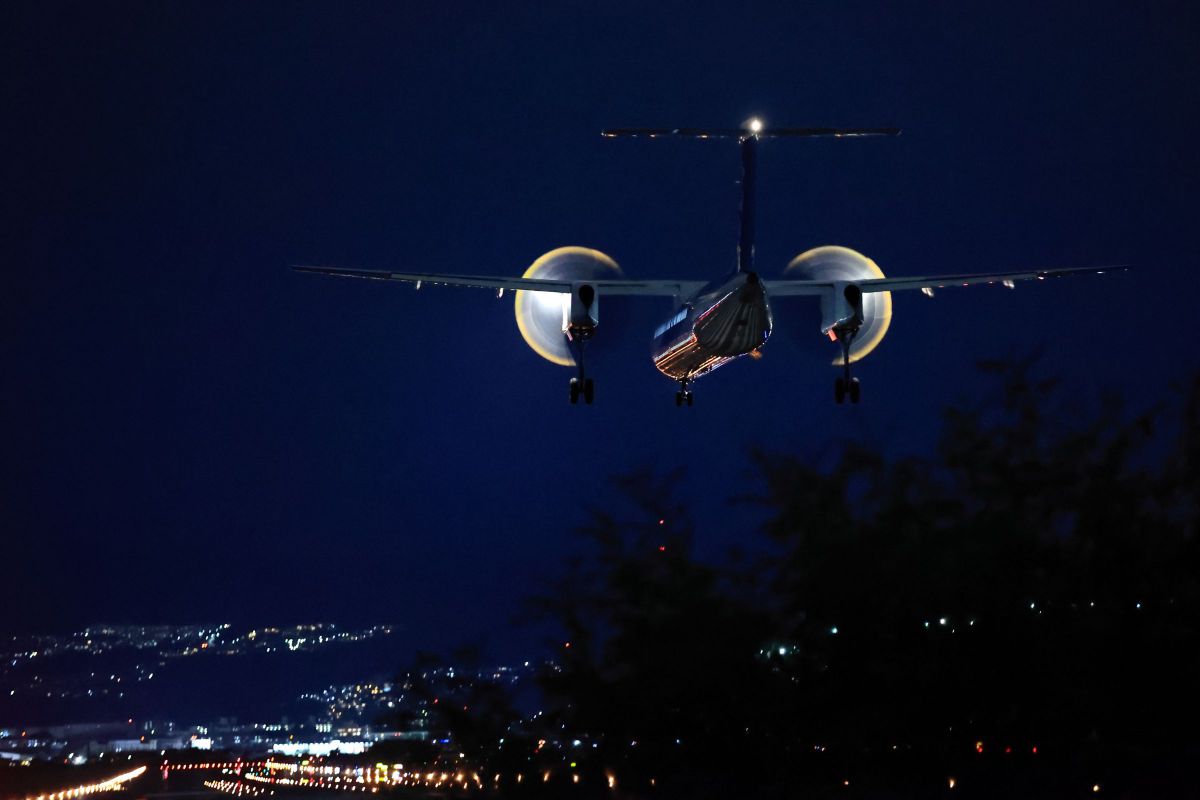 森を越えて GANREF