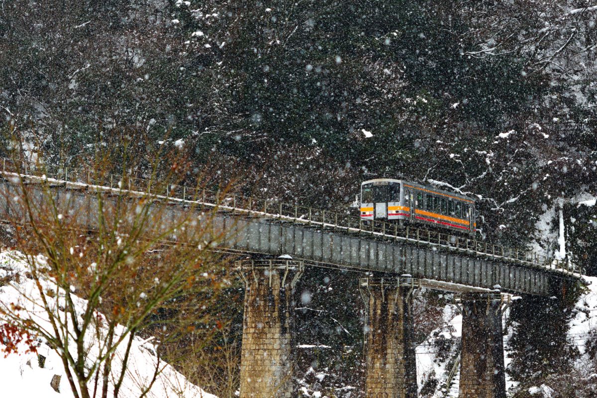 HD PENTAX-DA 55-300mmF4-5.8ED WRで撮影された写真 | 写真検索 | GANREF