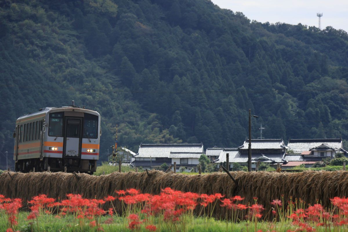 RF-S18-150mm F3.5-6.3 IS STMで撮影された写真 | 写真検索 | GANREF