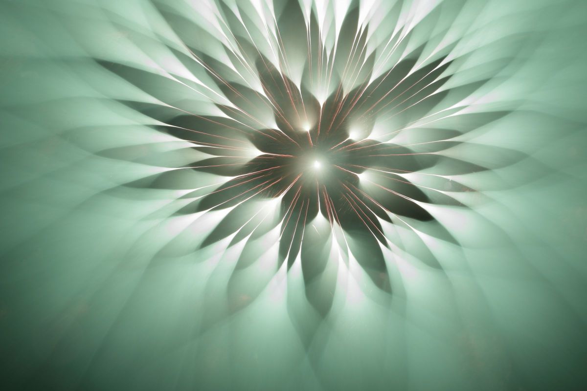 Green Blossom | GANREF