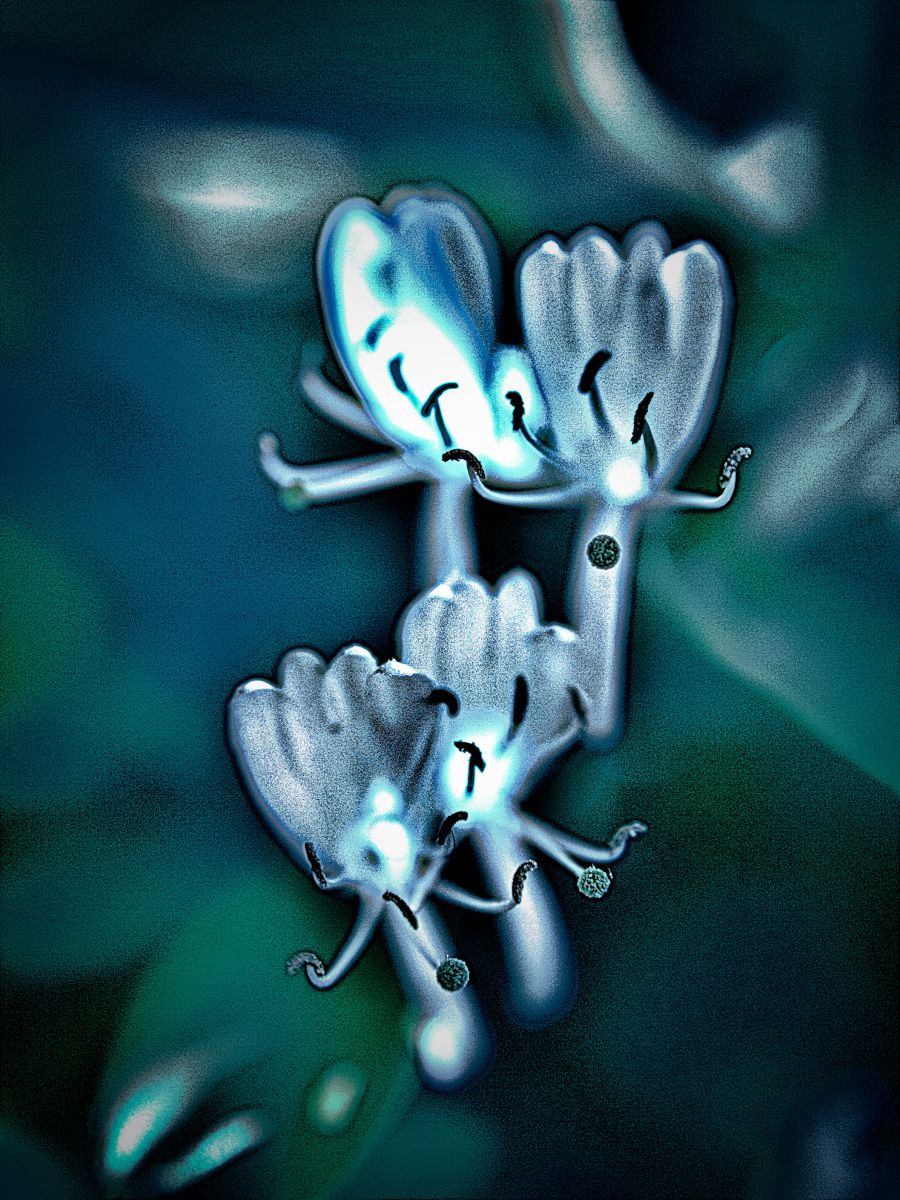 一反木綿もbondance 植物 花 花びら Ganref