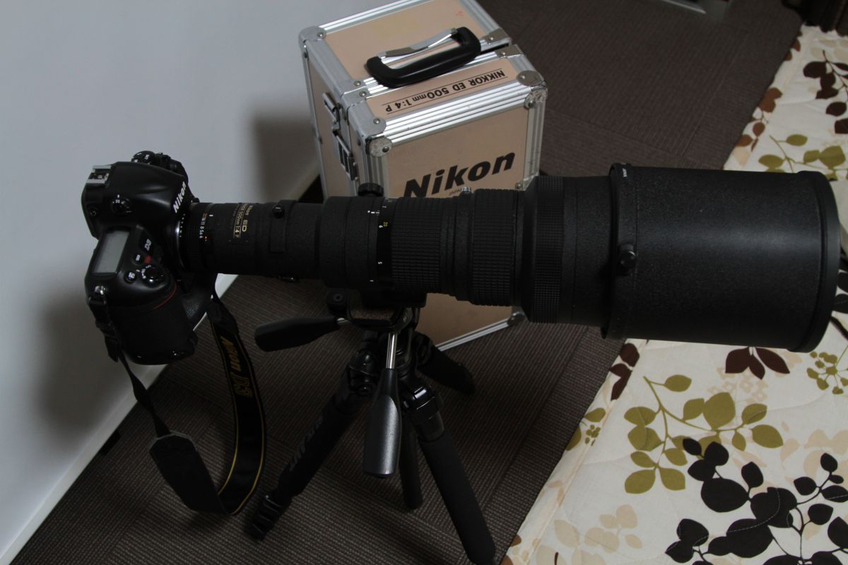 Ai Nikkor ED 500mm F4P（IF）で撮影された写真 | 写真検索 | GANREF