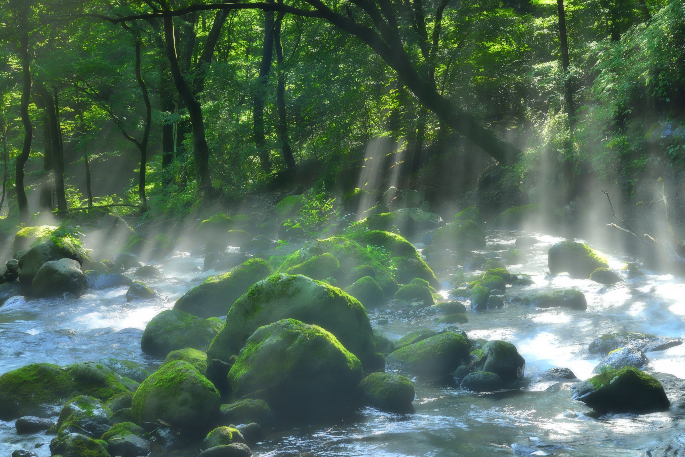 ske48 コップの中の木漏れ日 生写真 ske48 コップの中の木漏れ日 生写真 679.jpg