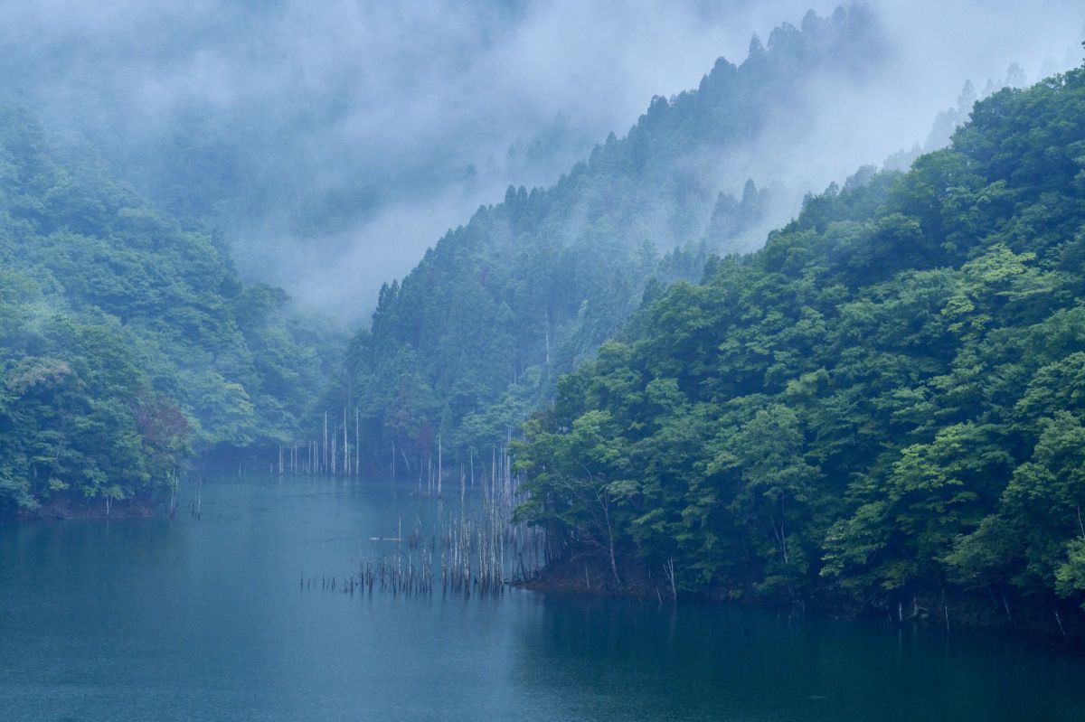 雲湧く | GANREF