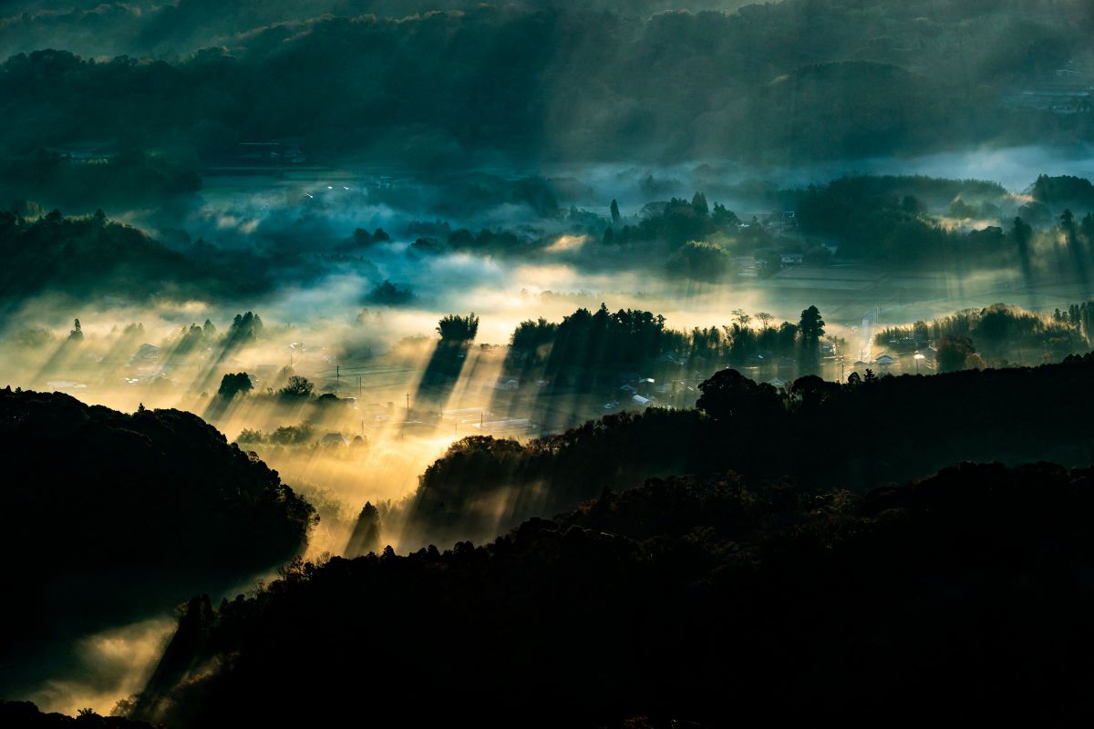 EF80-200mm F2.8Lで撮影された写真 | 写真検索 | GANREF