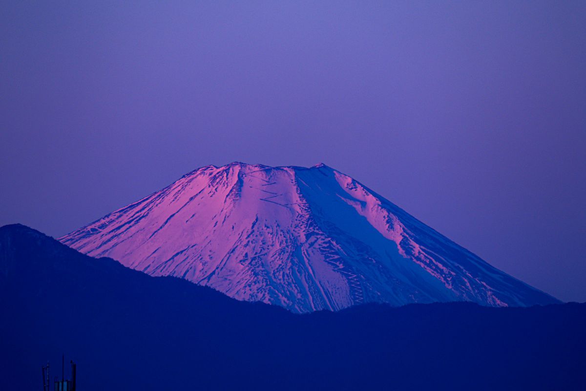 参考写真③ 150-600mm F5-6.3 DG DN OS｜Sportsで撮影された写真 | 写真検索 | GANREF