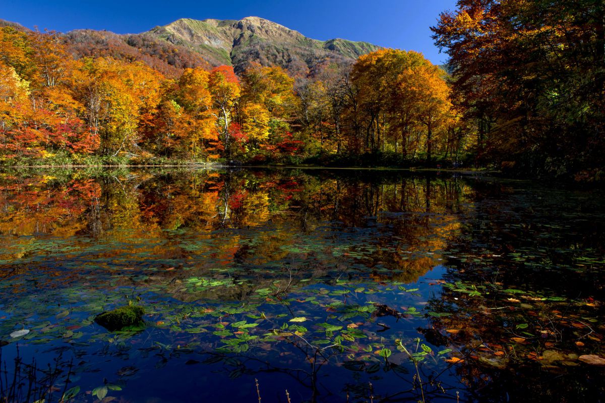 田舎の秋 自然 風景 山 Ganref