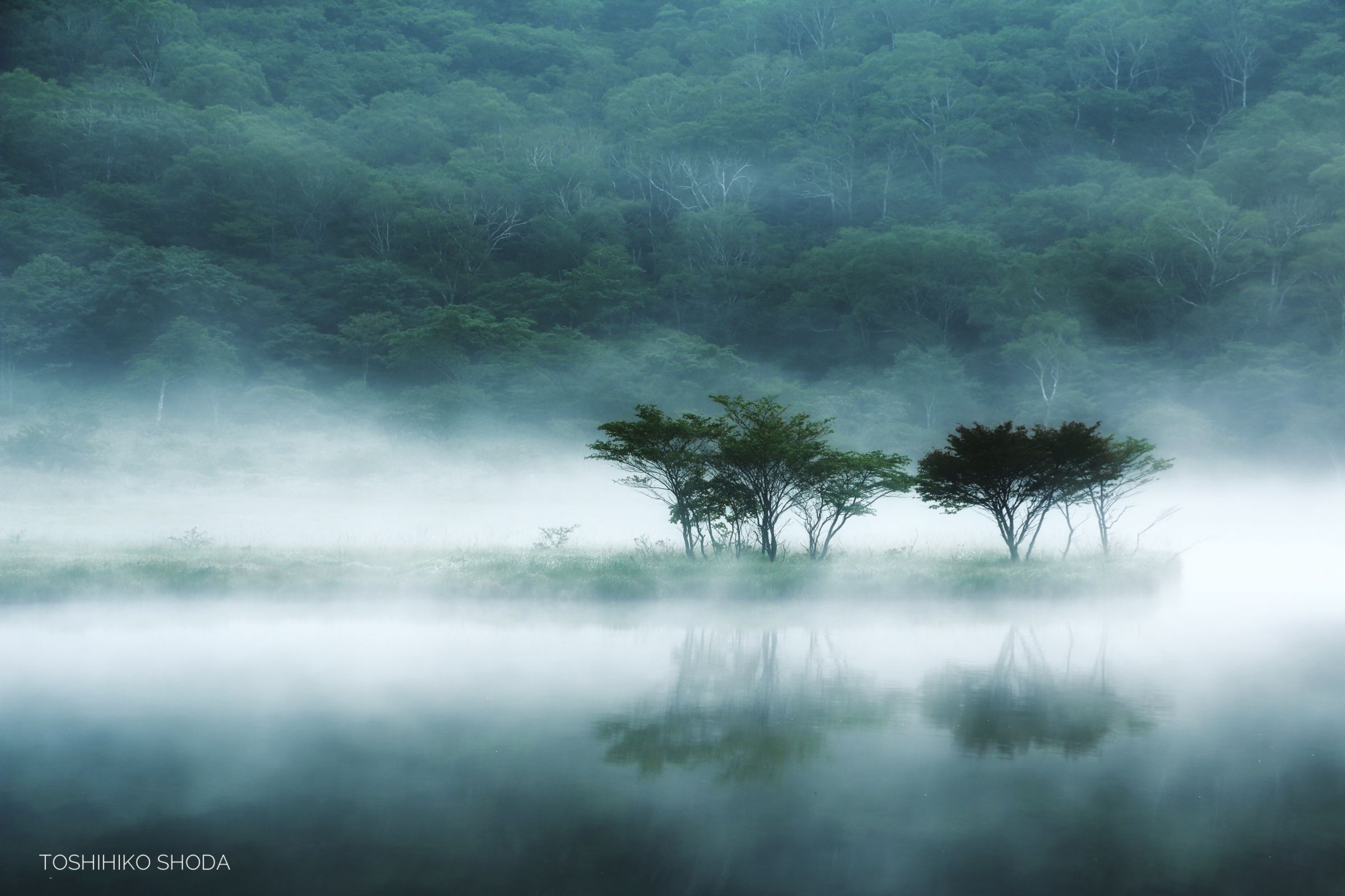 【真作】掛軸　里山の情景　霧深き故郷の風景画　自然と人の営み　情景美　Q51 覚満淵 霧景 | GANREF