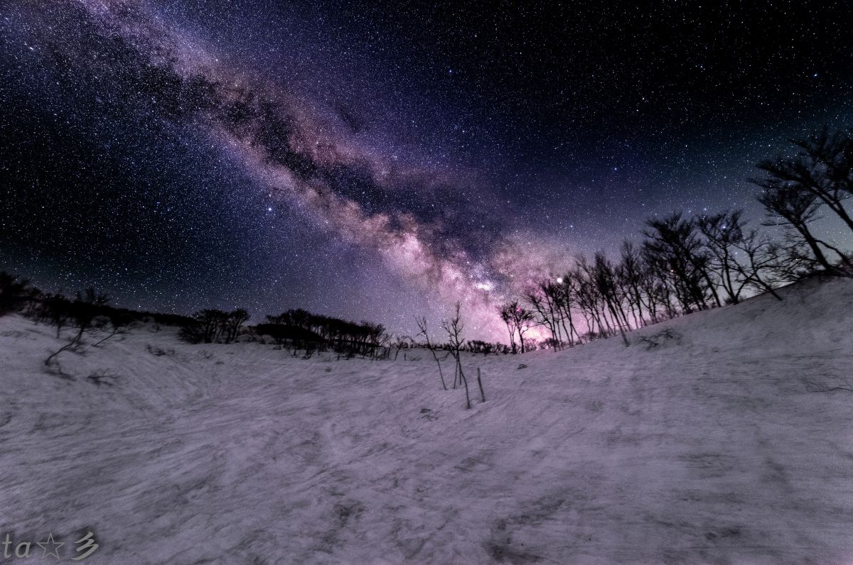 XP14mm F2.4で撮影された写真 | 写真検索 | GANREF