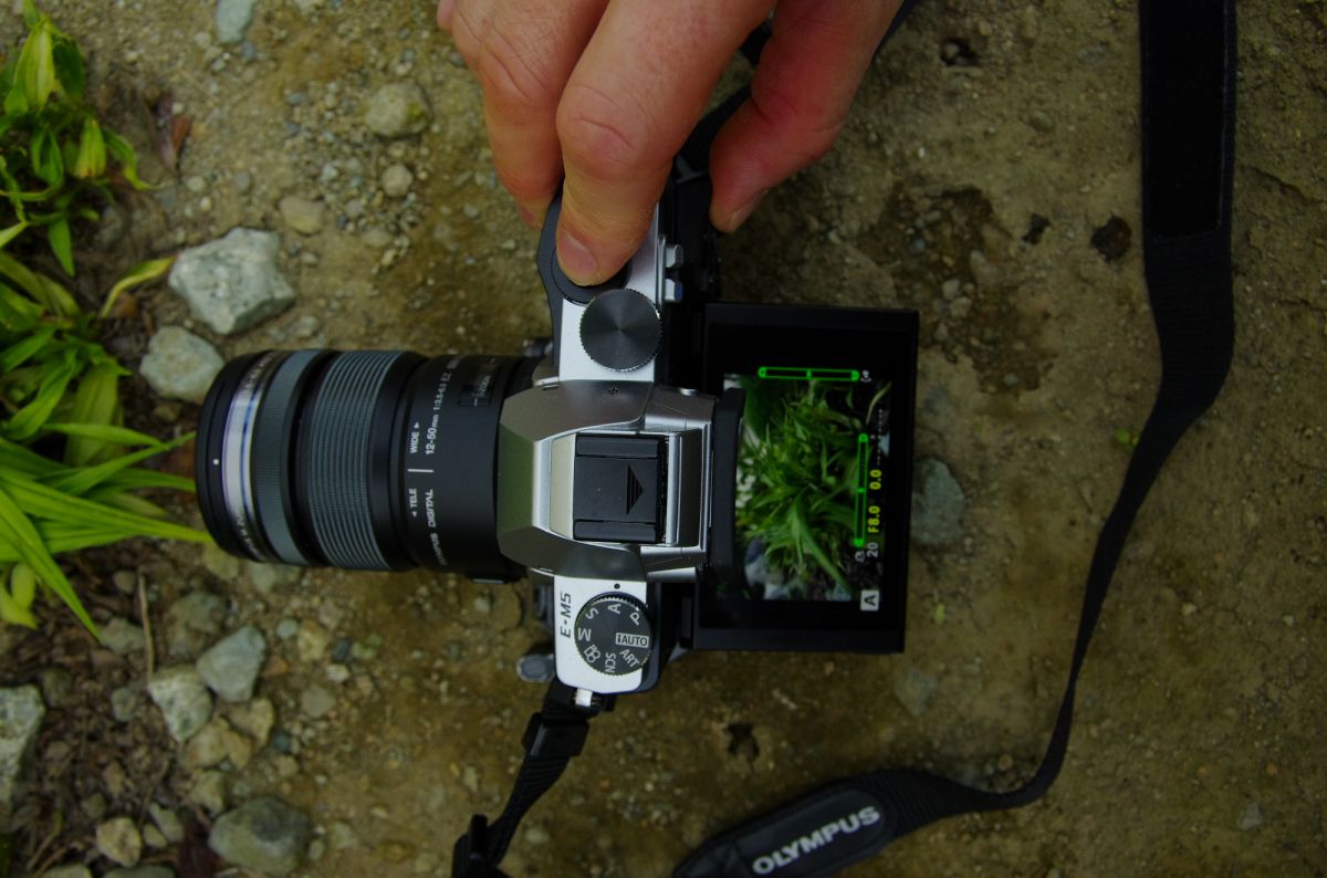OLYMPUS OM-D E-M5 レビュー 2回目（チルト可動式モニターの有用性