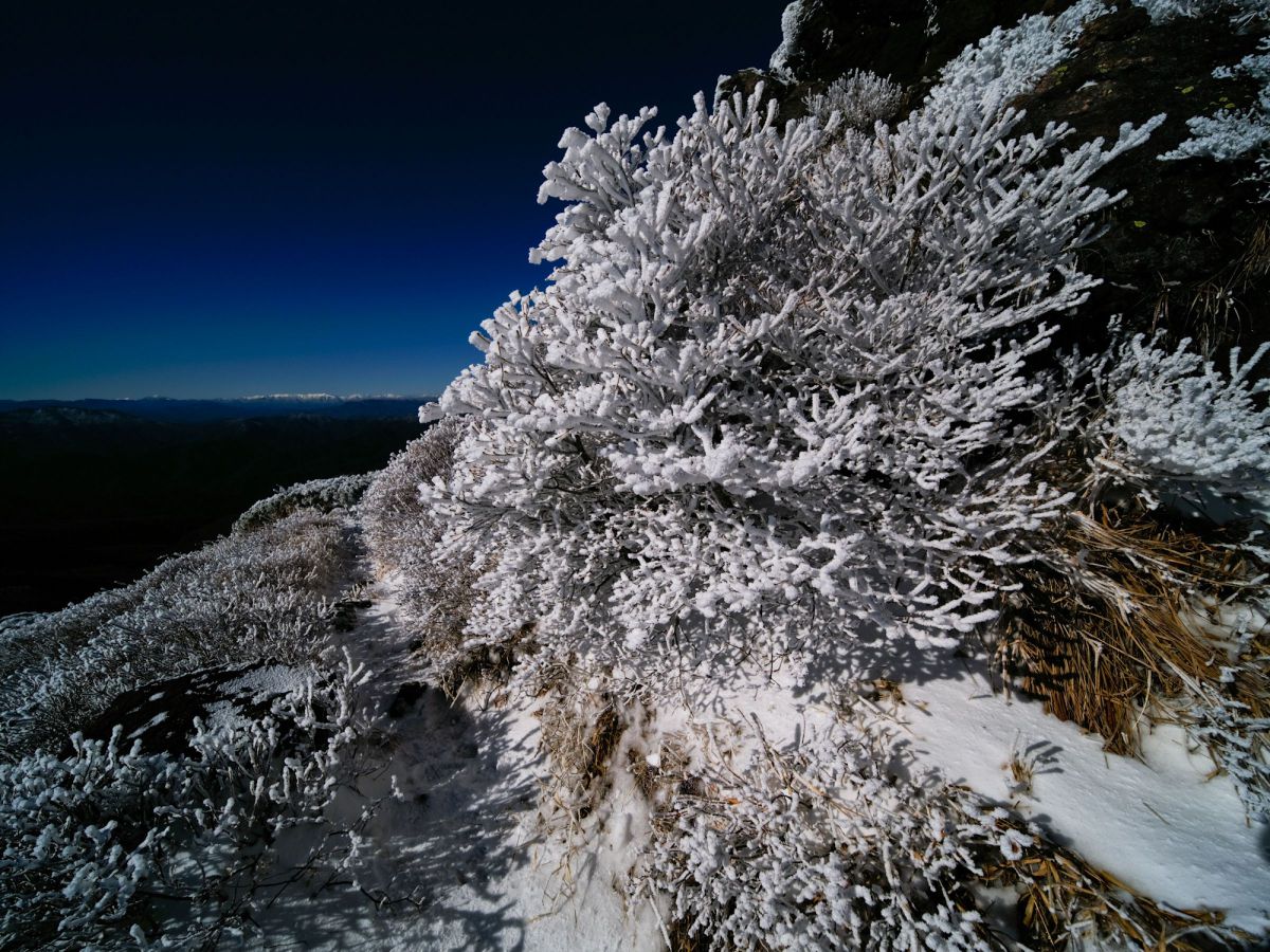 17mm F4 Ultra-Wide GFX Zero-Dで撮影された写真 | 写真検索 | GANREF