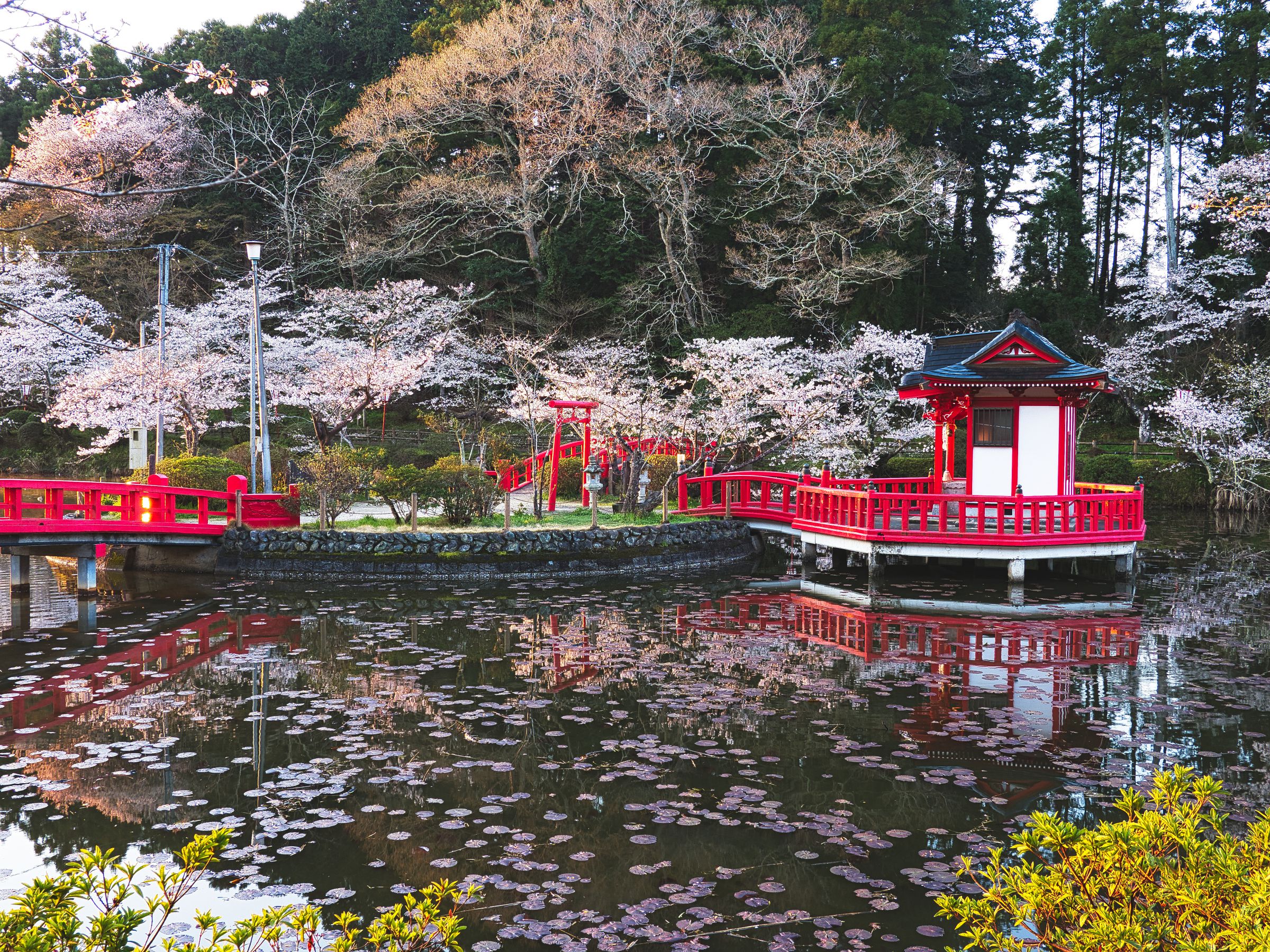 極上　弁財天　291g 東里7-1015☆2F 弁財天坐像 修復後