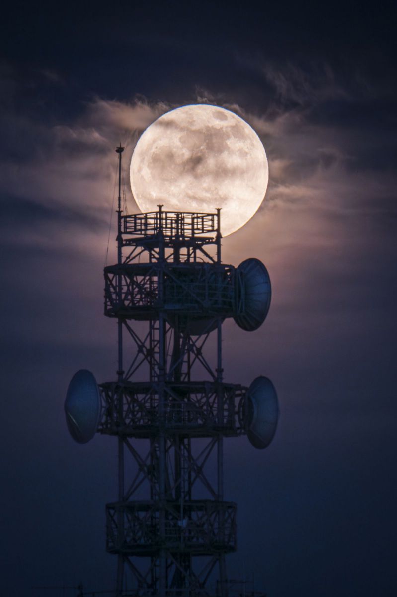 Flower Moon | GANREF
