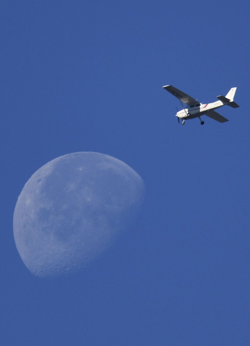 Fly to the moon | GANREF