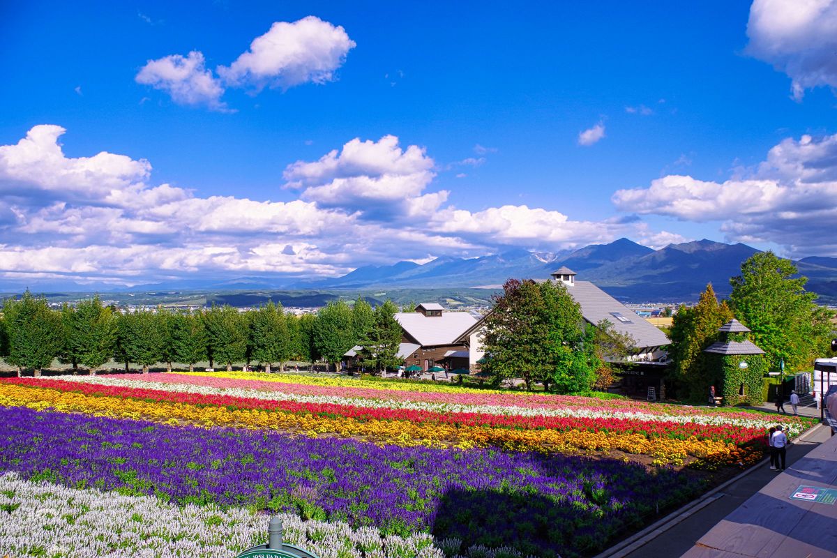 【作例あり】SMC PENTAX-DAL 18-50mm DC WR RE smc PENTAX-DA L 18-50mmF4-5.6 DC WR REで撮影された写真 | 写真検索