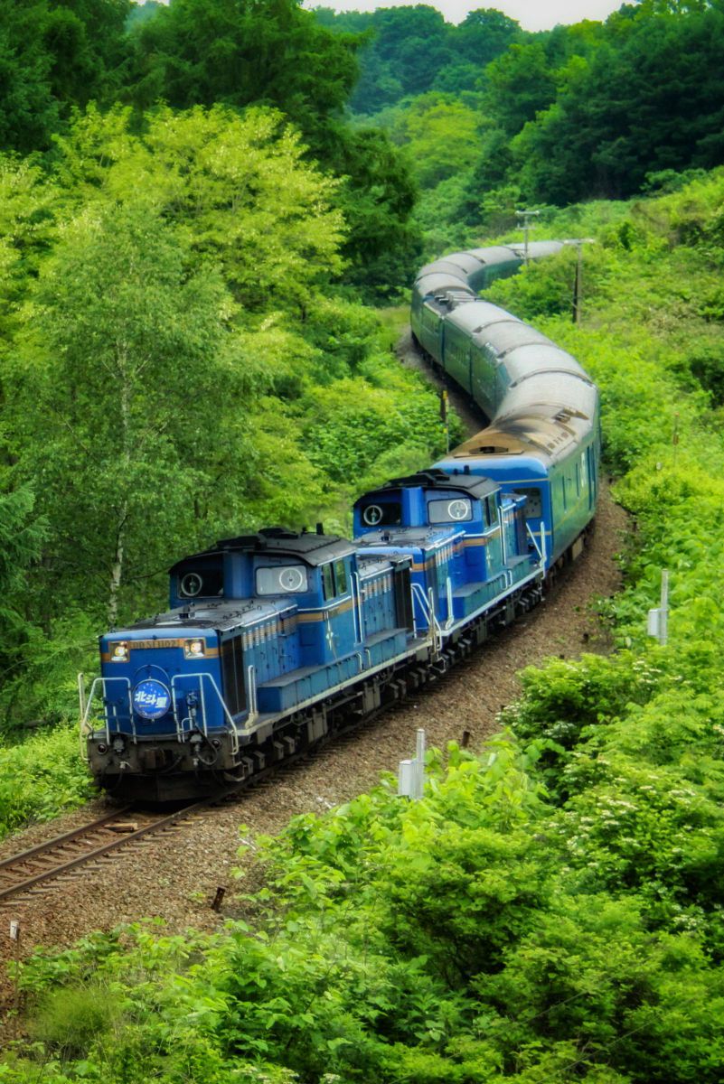 クネクネ 乗り物 交通 鉄道 駅 Ganref