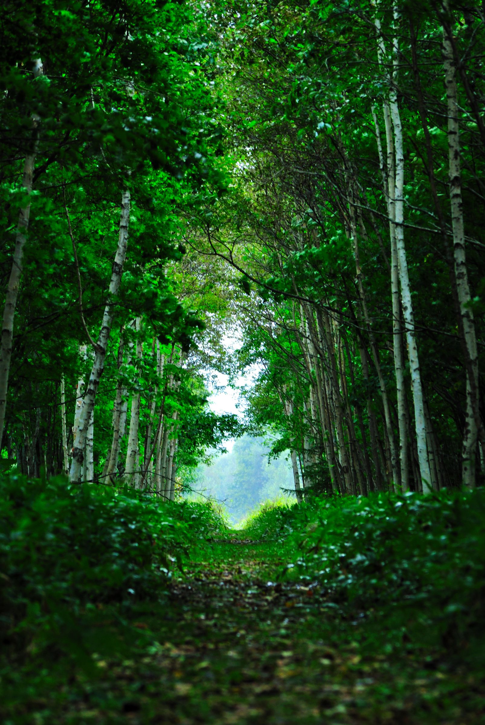 【オーダー用】北海道の風景写真 オーダー用】北海道の風景写真