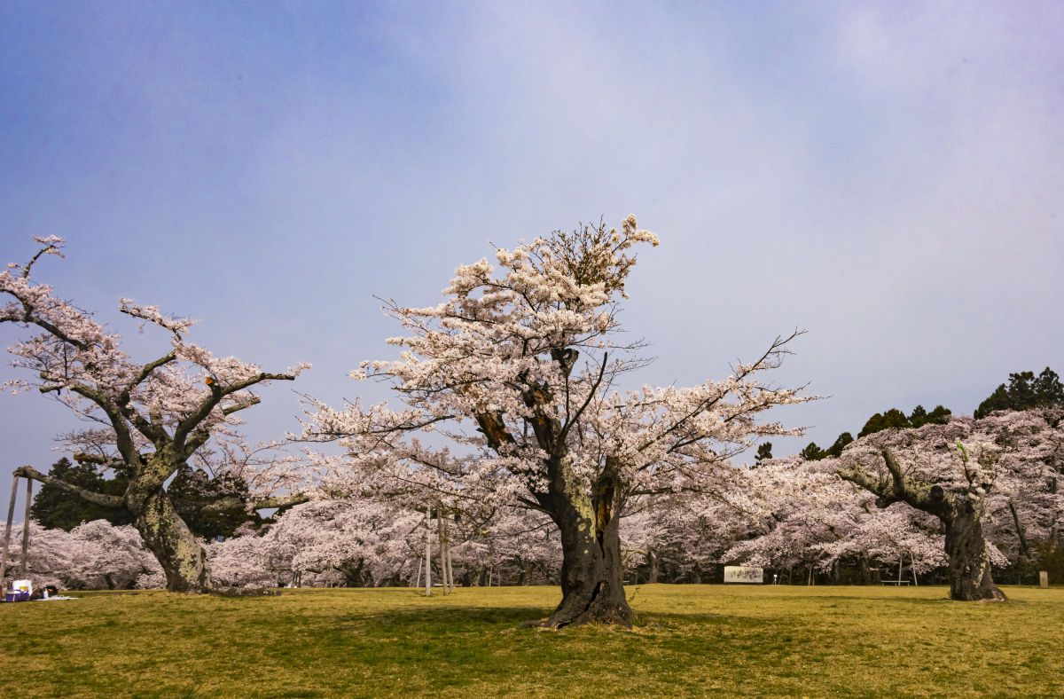 老兵は死なず、ただ消え去るのみ2023② GANREF