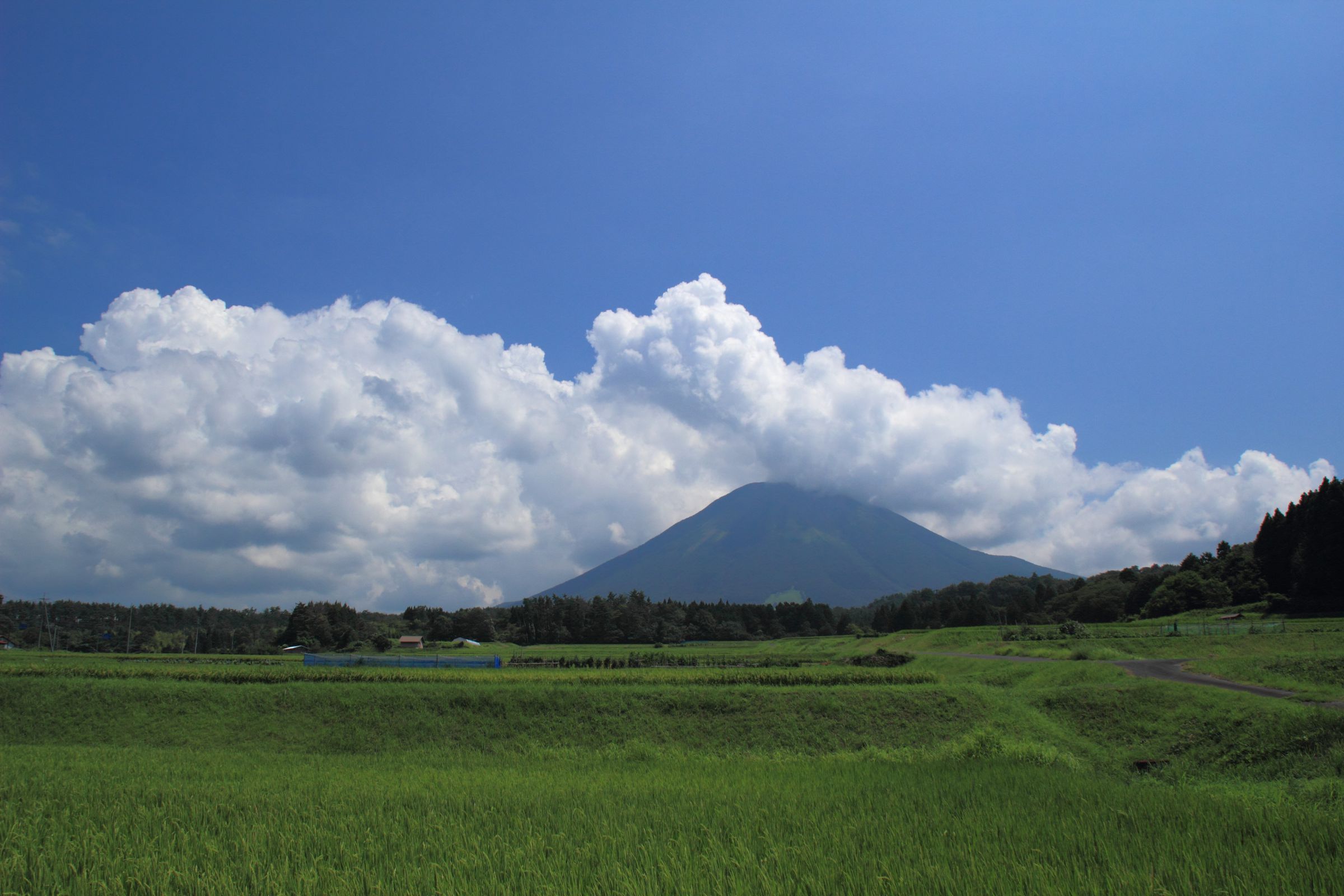 大山夏景色 | GANREF