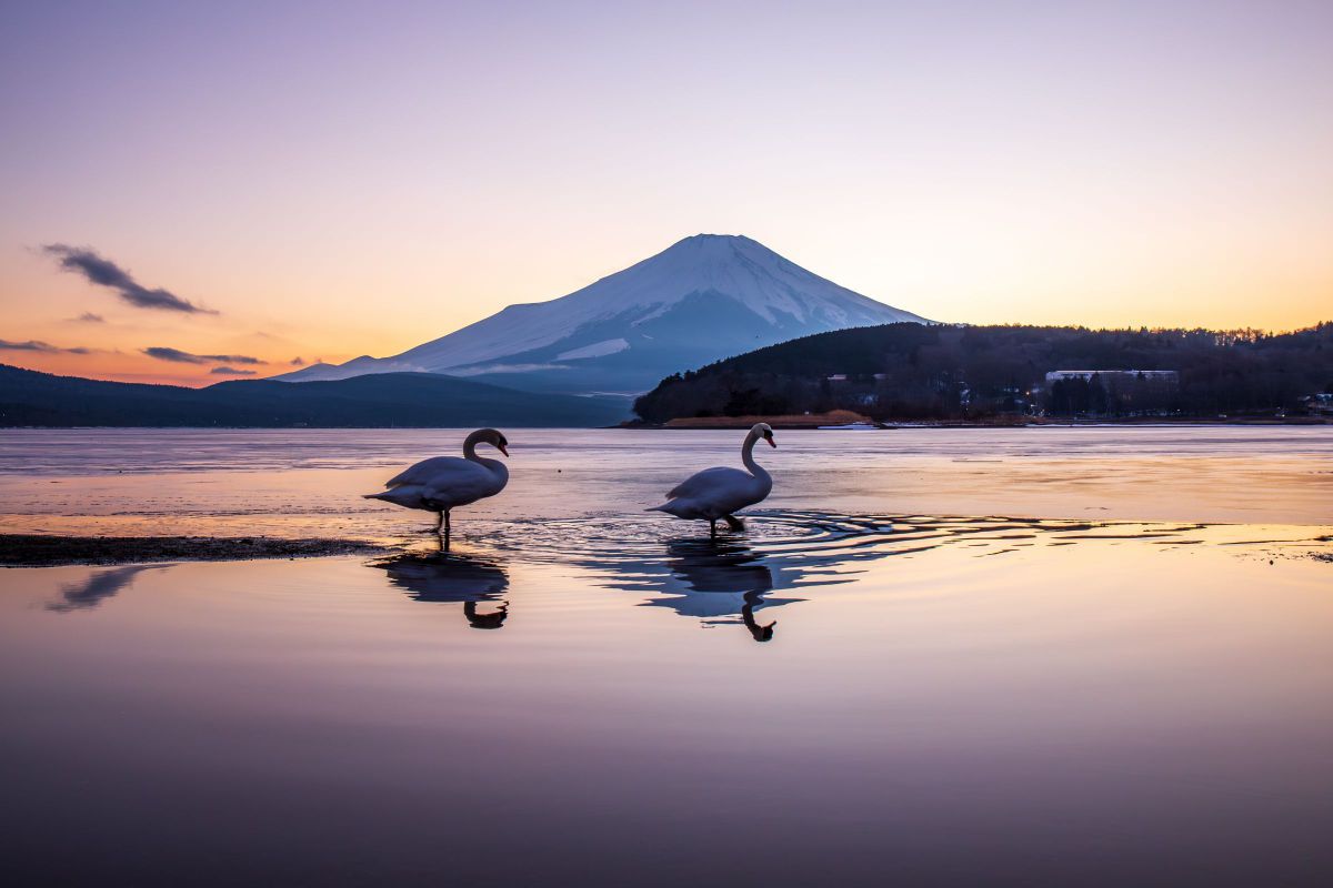 EOS 6Dで撮影された写真 | 写真検索 | GANREF