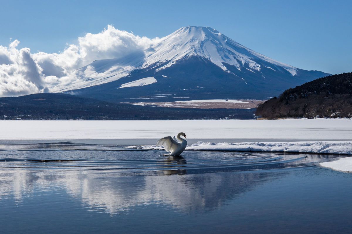 【美品・メンテナンス済】☆EF16-35mm F2.8L III USM☆ カメラレンズ EF16-35mm F2.8L III USM ブラック [キヤノンEF /ズーム