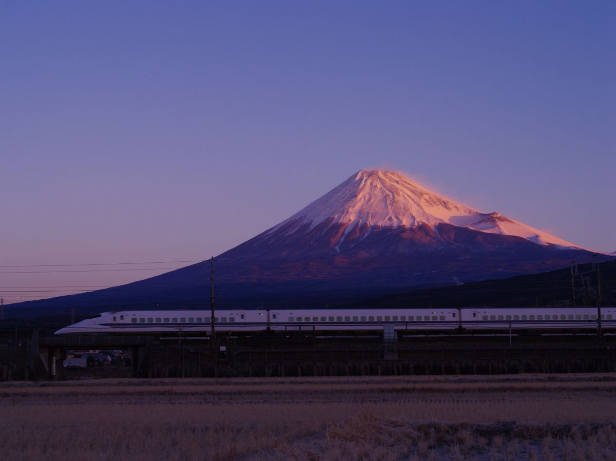 HD PENTAX-D FA645 MACRO 90mmF2.8ED AW SRで撮影された写真