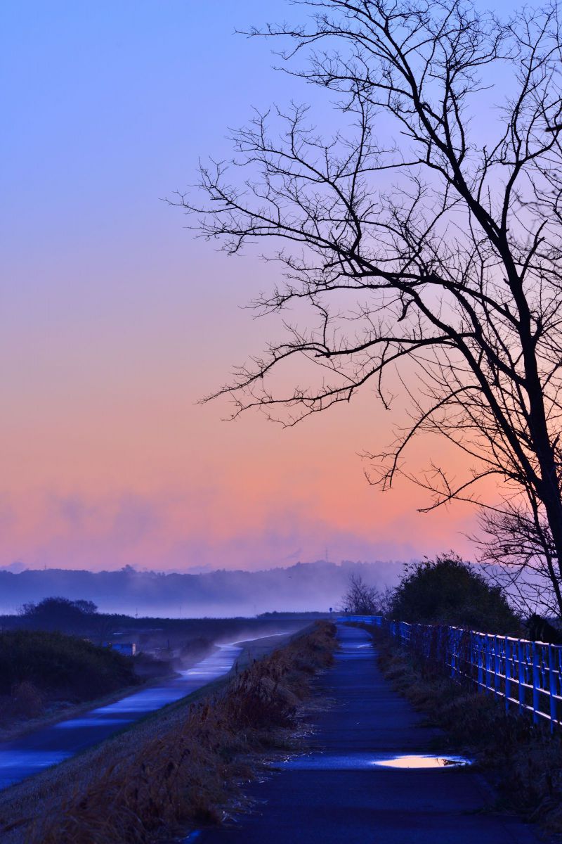 MDAwMDAzOTAxNA_MC44MzQwNjkwMCA