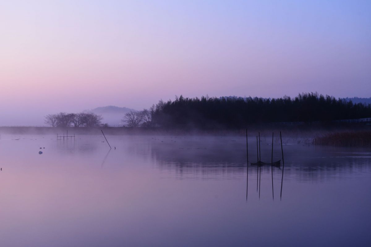 朝靄景 | GANREF