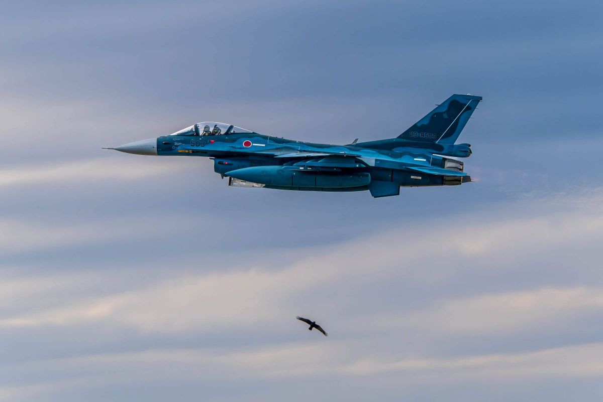 NIKKOR Z 180-600mm f/5.6-6.3 VRで撮影された写真 | 写真検索 | GANREF