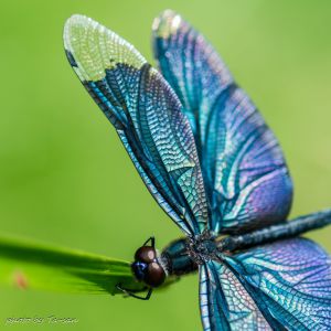 5c3dc281cba2f690e8777e7752e745