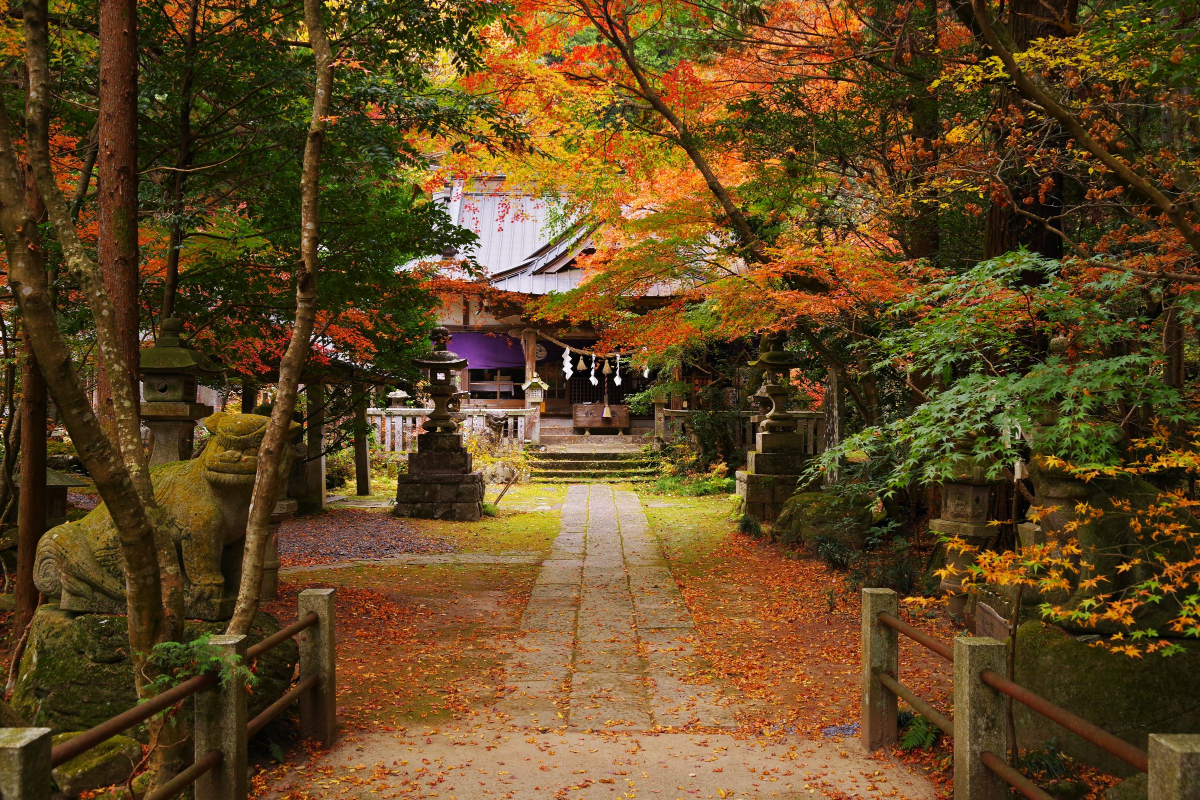 五所 駒 瀧 神社