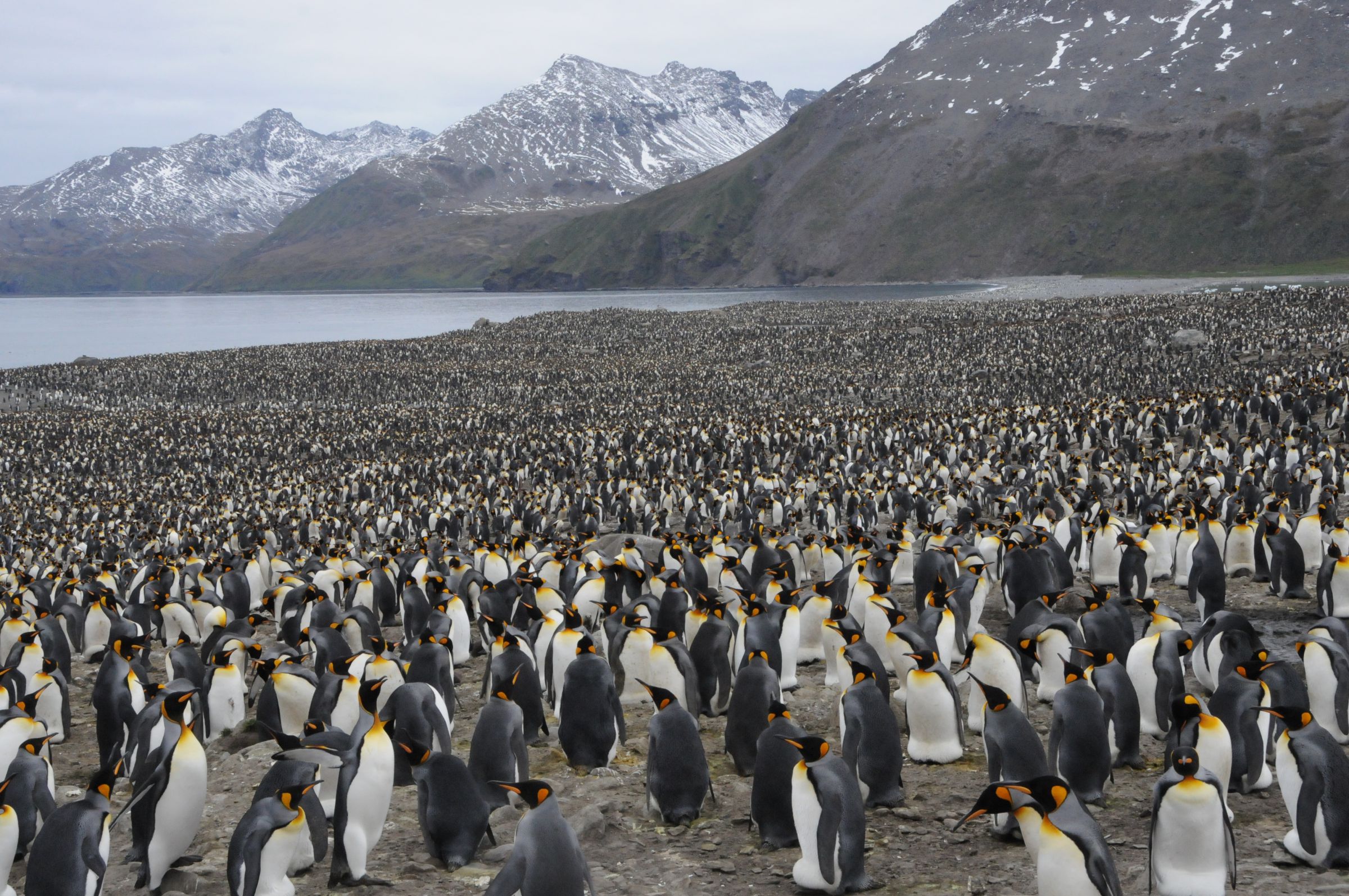 見渡す限り | GANREF