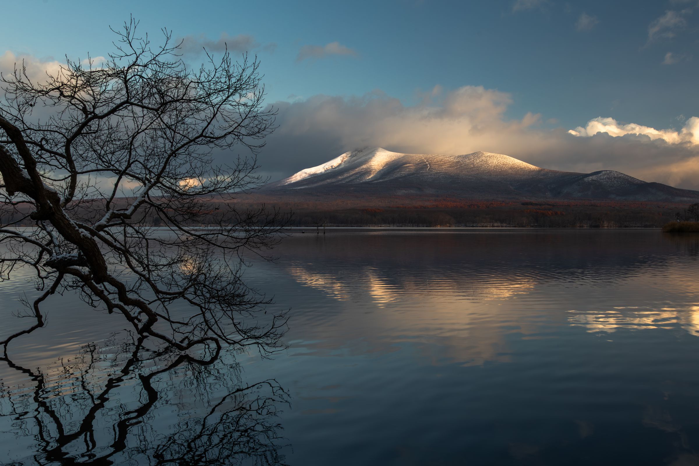 初冬の大沼 | GANREF