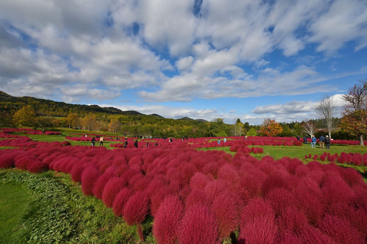 Z 6で撮影された写真 | 写真検索 | GANREF