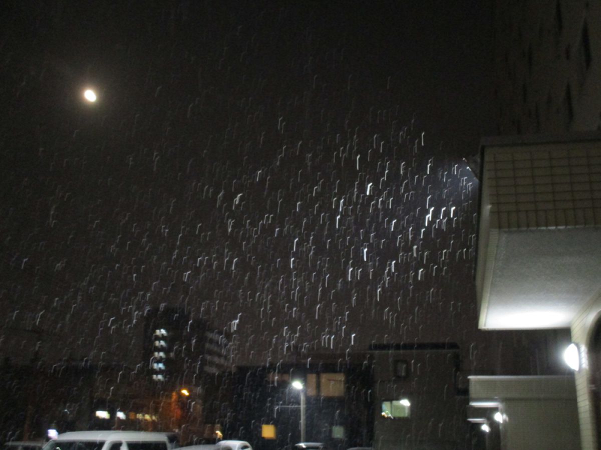 IXY 180で撮影された写真 | 写真検索 | GANREF