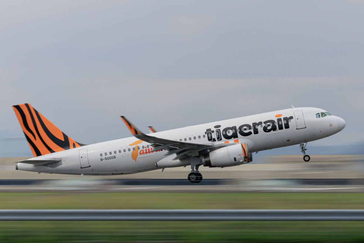 タイガーエア台湾 GANREF