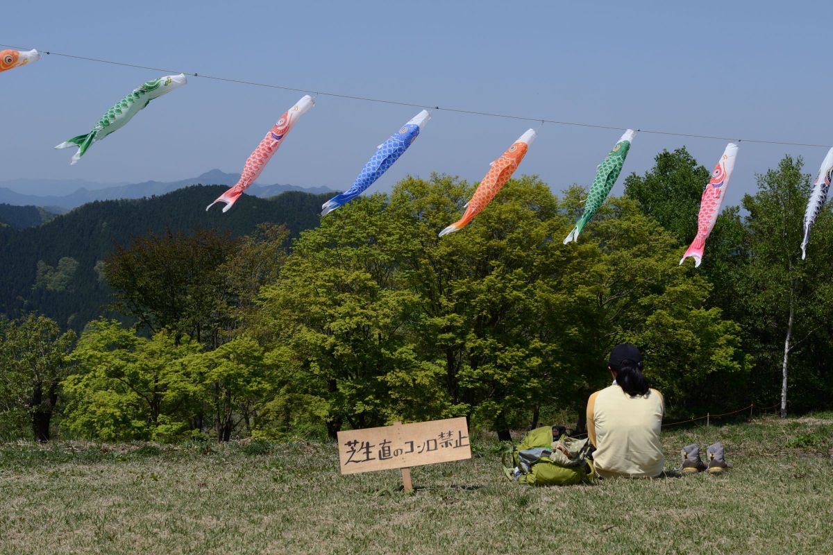 緑が美しい ニコンD3100 | GANREF