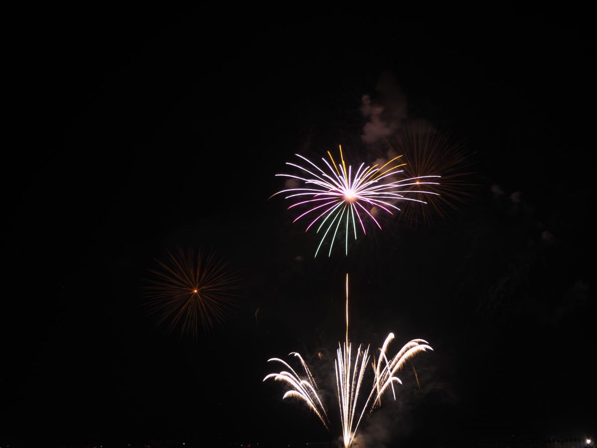 A flower blooming in the night sky GANREF