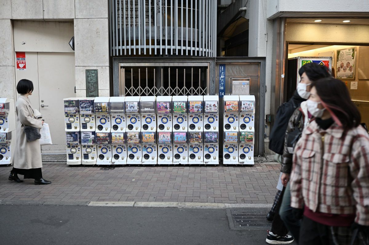 NIKKOR Z 35mm f/1.8 Sで撮影された写真 | 写真検索 | GANREF