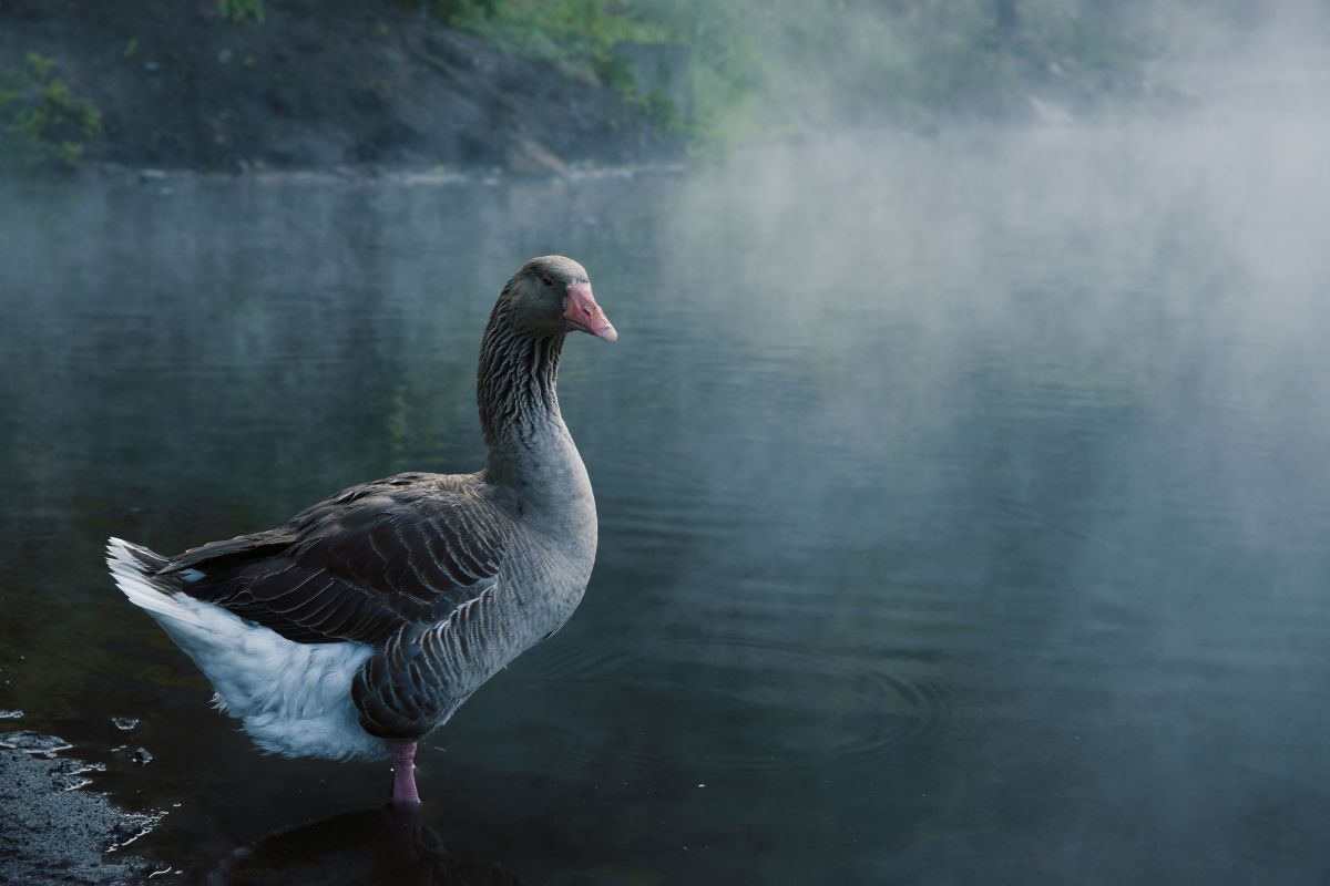 Vario-Sonnar T＊ 24-70mm F2.8 ZA SSMで撮影された写真 | 写真検索 