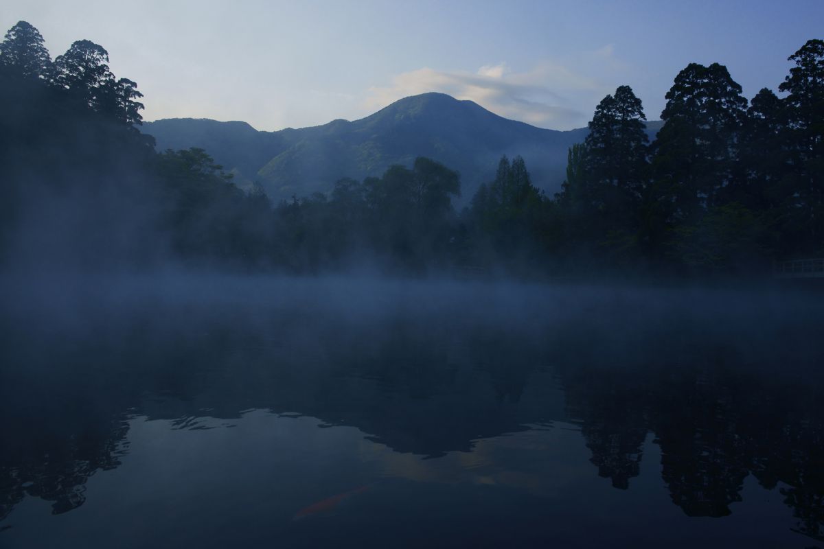 Vario-Sonnar T＊ 24-70mm F2.8 ZA SSMで撮影された写真 | 写真検索 