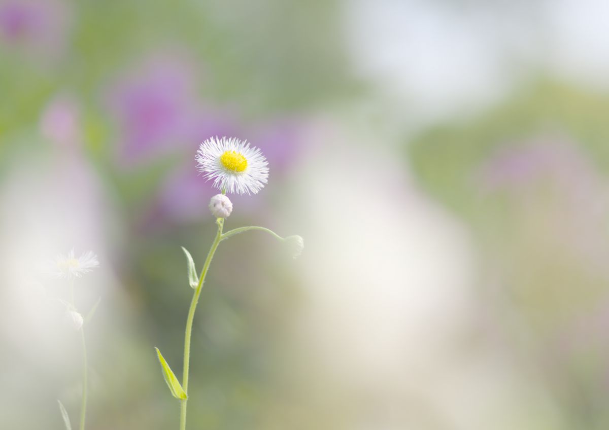 たっぷり 再開 シール 追想 の 愛 Fuji Q Jp